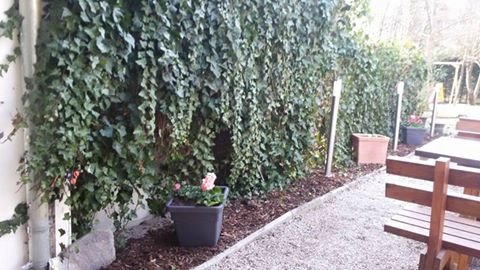 garten 8